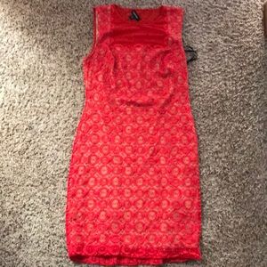 Sexy Red Hot Bebe Dress with sheer back